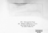 Image Associated With the Occurence